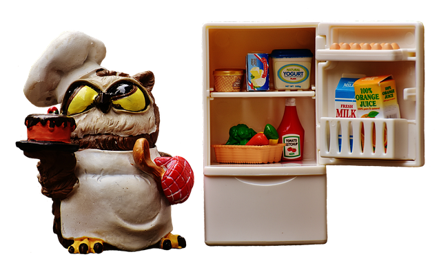 Lær at opbevare mad korrekt i dit køleskab: Sådan undgår du madspild og bakterievækst