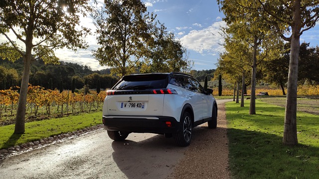 5 ting du skal tjekke, før du køber en brugt tesla